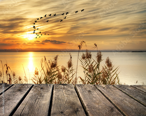 amanecer en la orilla del lago
