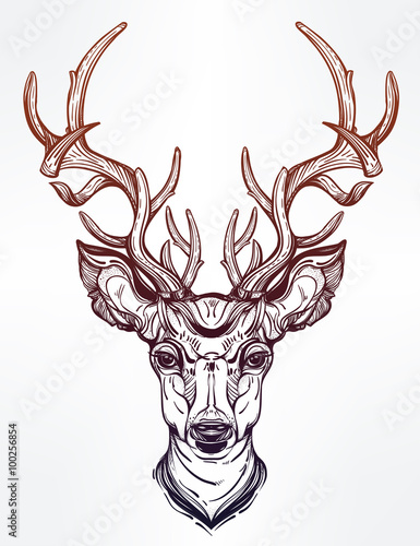  Deer head in line art style. 