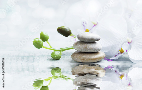zdroju-wciaz-zycie-z-kamieniami-orchidea-na-wody-reflec