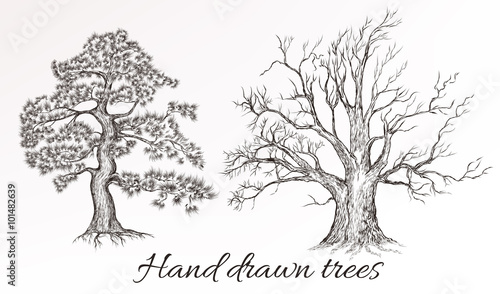  Vector hand drawn high detailed trees for design