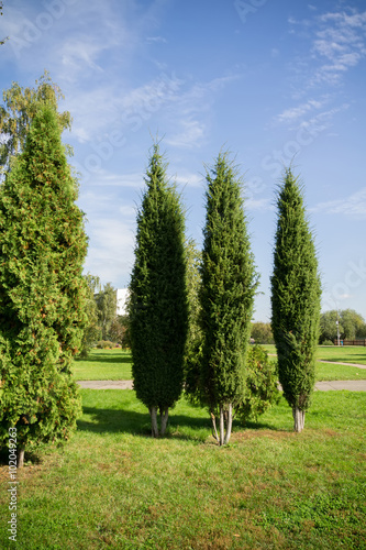 "Sunny City Park" Stock photo and royalty-free images on Fotolia.com