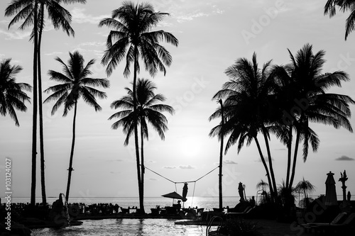 Silhouettes of palm trees on a tropical beach, black and white photography Poster