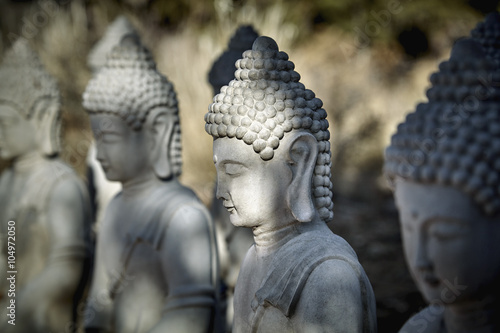 Poster Meditierender Buddha-Statuen