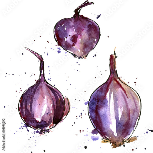 Zdjęcia vector watercolor purple onions