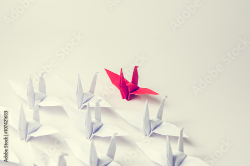 Poster Close up red bird leading among white, Leadership concept, retro filter, copy space