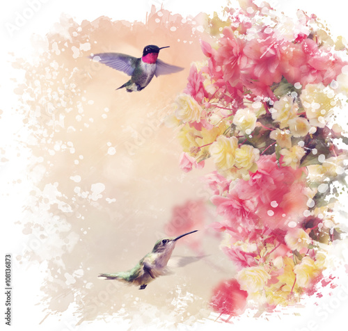 hummingbirds-and-flowers-watercolor
