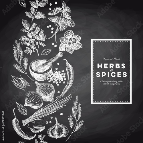 Vector background with hand drawn herbs and spices.