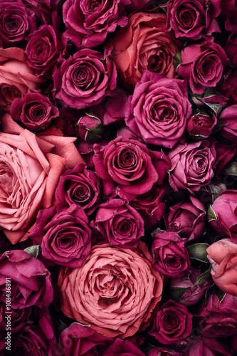 Roses background