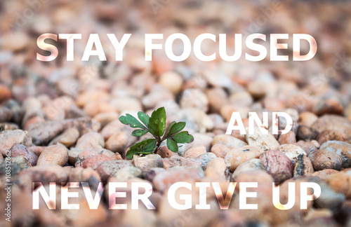 Stay focused and never give up inspirational quote