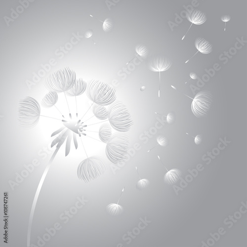 abstract-fluffy-dandelion-flower-vector-illustration