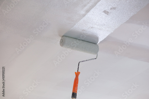 Painting A Gypsum Plaster Ceiling With Roller Buy Photos