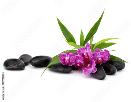  Zen pebbles and orchid flower. Stone spa and healthcare concept.