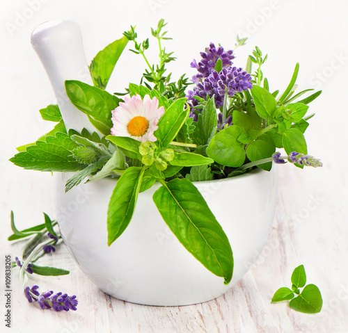 Herbs