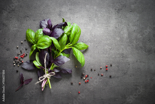 Poster Green and purple basil.