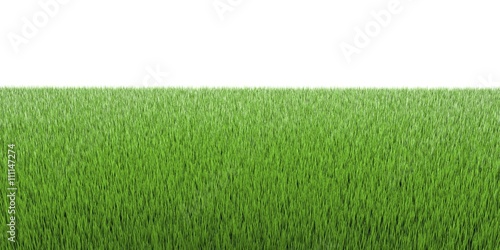 3d grass
