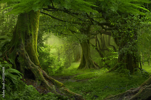Jungla tropical del sudeste asiático 