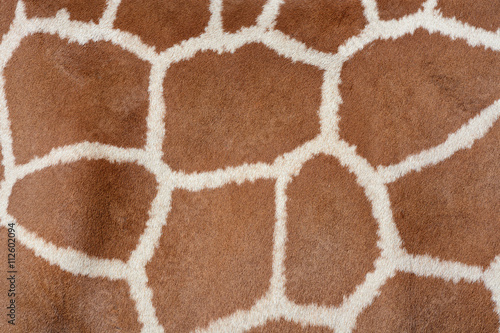 Poster Animal background texture of a giraffe spots pattern