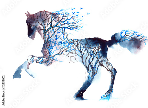 Obraz na płótnie horse