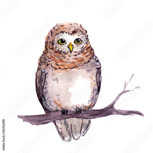 sowa-cute-cartoon-zwierzat-akwarela