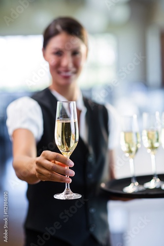 Zdjęcia Portrait of smiling waitress offering a glass of champagne