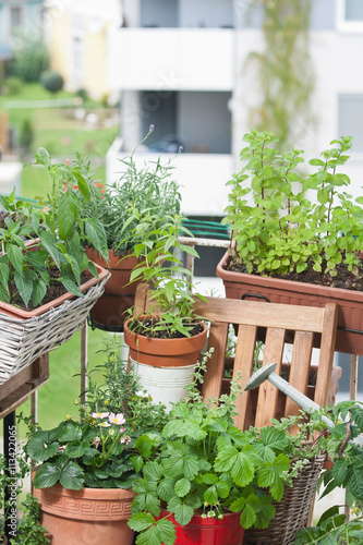 Balkongarten Urban gardening