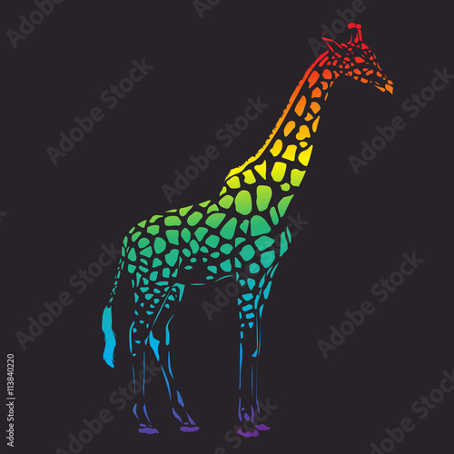 Obraz na płótnie Vector raibow giraffe silhouette, abstract animal illustration. Safari giraffe can be used for background, card, print materials