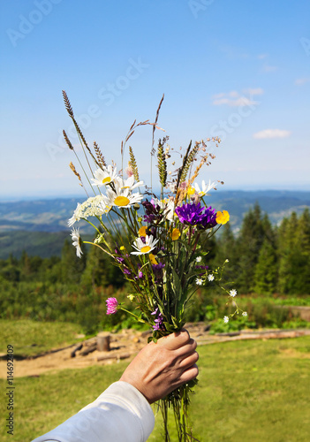 Poster Bouquet of wild flower in woman's hand on mountains background