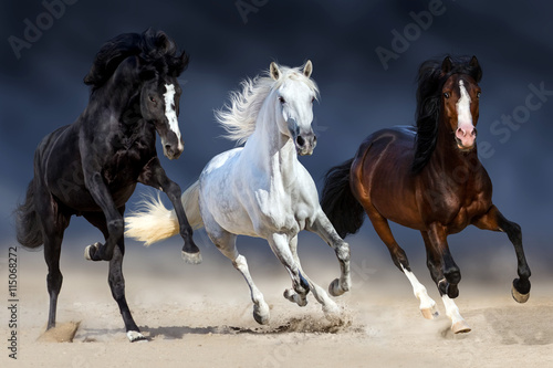 Obraz na płótnie Three horse with long mane run gallop in sand