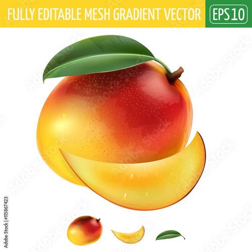 Mango on white background. Vector illustration
