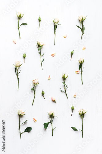 Zdjęcia pattern of roses, flat lay, top view
