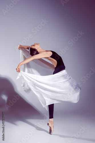 Poster Ballerina in black outfit posing on toes, studio background.