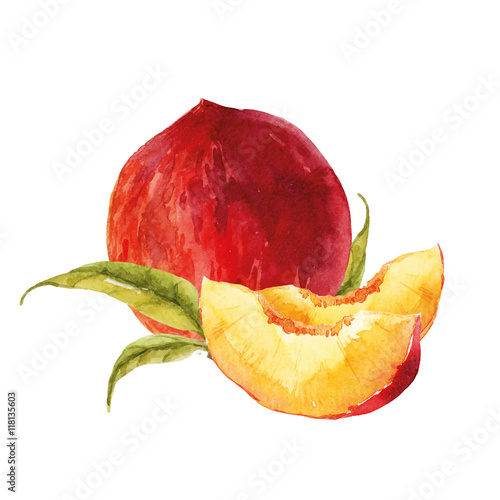 Zdjęcia Watercolor tasty peach