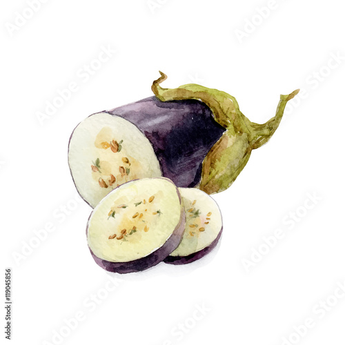 Zdjęcia Watercolor hand drawn eggplant