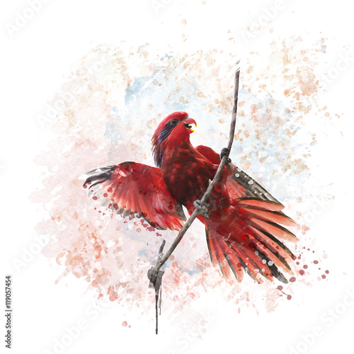 niebiesko-paskowana-akwarela-lory-parrot