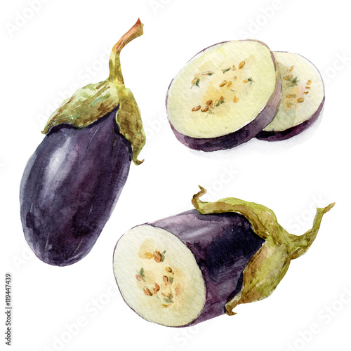 Zdjęcia Watercolor hand drawn eggplant