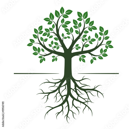 Green Tree. Vector Illustration.