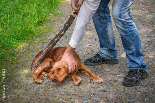 Man holds a stick in hand and he wants to hit the dog © andriano_cz