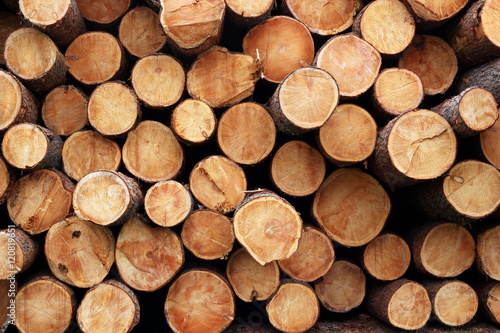  Pile of wood logs. Wood logs texture background