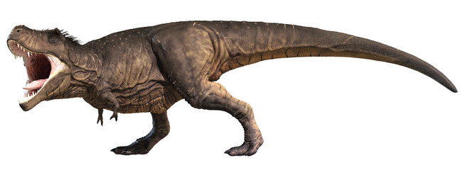 Plakat dinozaur antyczny 3d dziki
