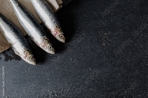 Sardines on dark background