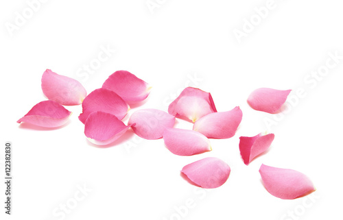 Petals of roses on a white background