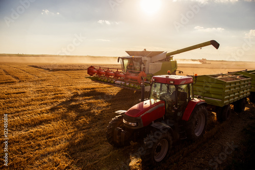 Harvesting the wheat © bernardbodo