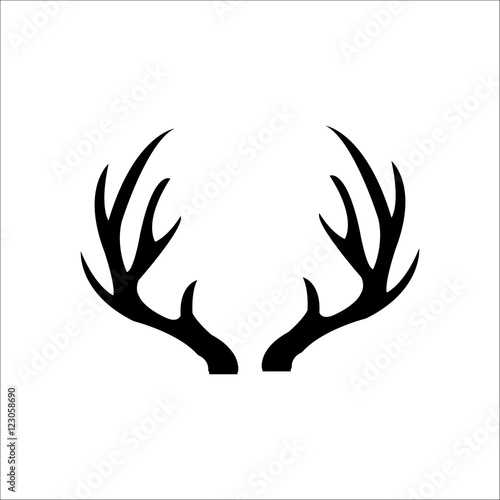  deer horn