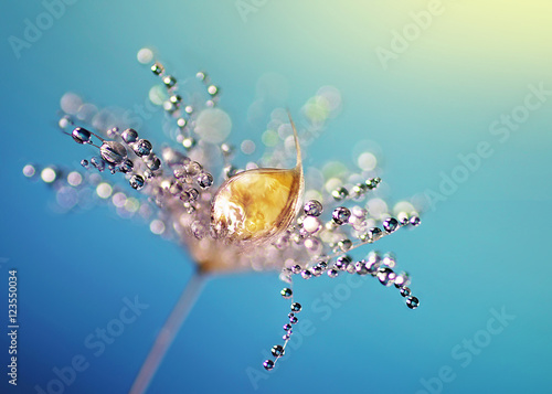 Obraz na płótnie Beautiful dew drops on a dandelion seed macro. Beautiful blue background. Large golden dew drops on a parachute dandelion. Soft dreamy tender artistic image form.