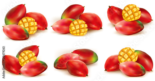 Set of mango illustration