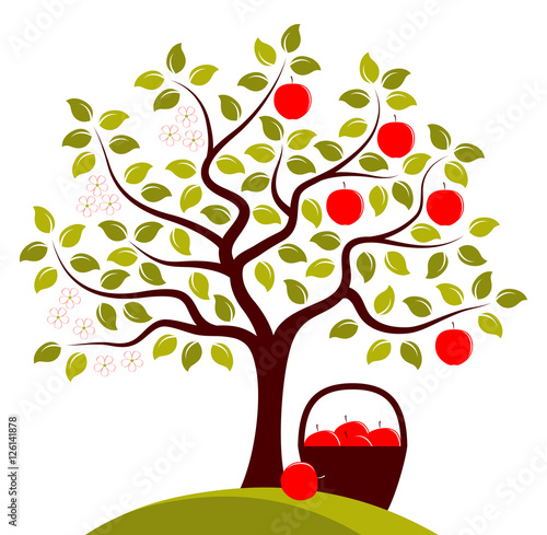 apple tree in two seasons
