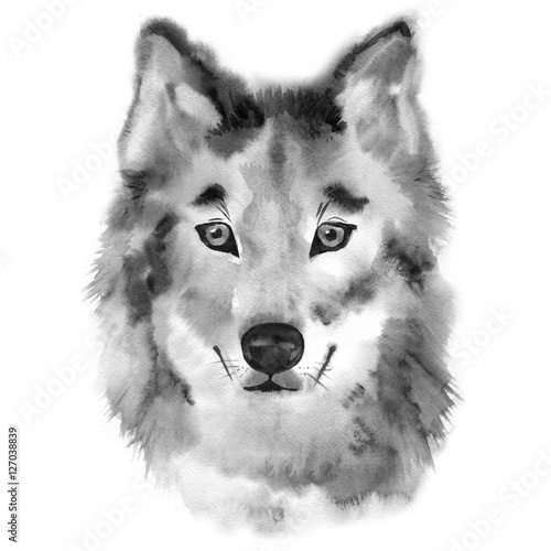 wilcza-reka-malujaca-akwareli-ilustracja-odizolowywajaca-na-bialym-tle