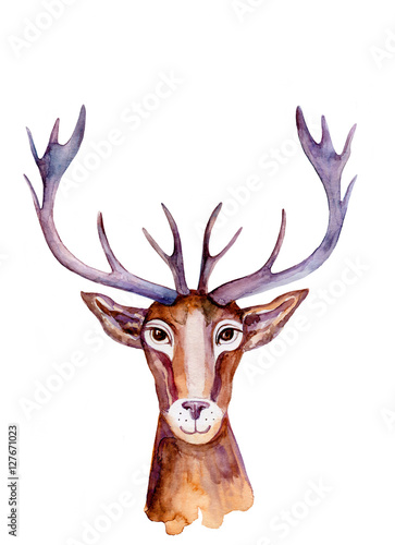 Fototapeta Watercolor deer hand drawn cartoon painting illustration isolated on white background, wild animal with curved horns, mascot head, Character design for greeting card, poster, baby shower, print