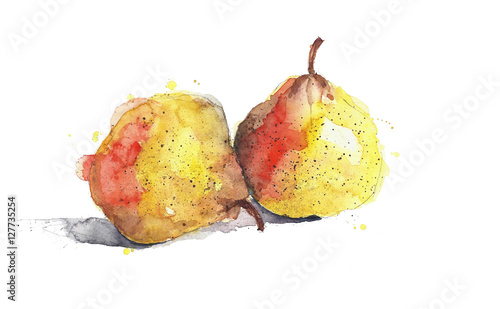 Pears yellow fruits watercolor painting illustration isolated on white background