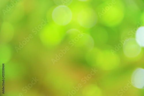 Poster Bokeh natural color background, colorful leaf of the tree fresh